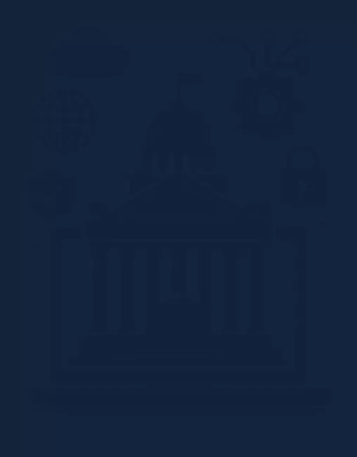 Government Background